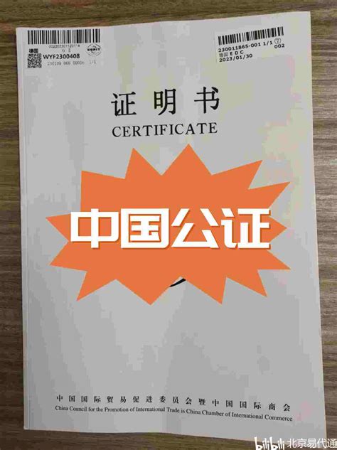 中国无犯罪记录公证书韩国双认证代办详情及资料准备 哔哩哔哩