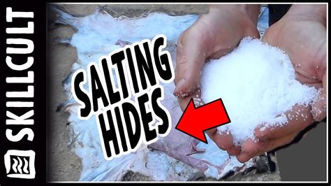 Preserving Hides For Tanning Salt Dry Or Freeze How To Youtube