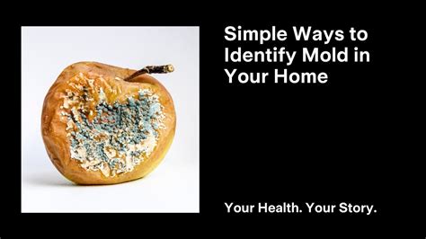 Simple Ways To Identify Mold In Your Home Youtube