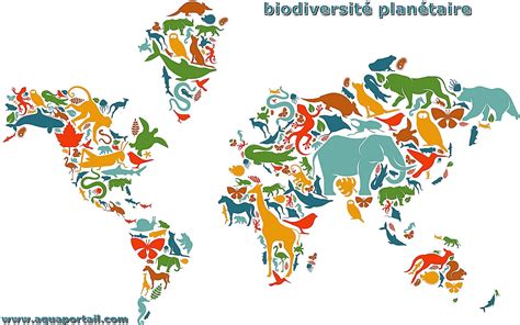 Biodiversité définition et explications