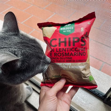 La Via Del Grano Chips Di Lenticchie E Rosmarino Review Abillion