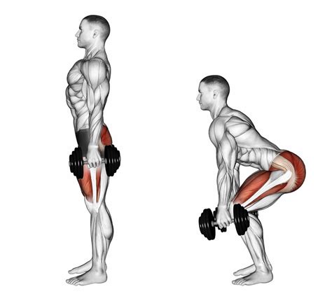 Squats With Dumbbells Get Fit With Grit Total Workout Aerobics