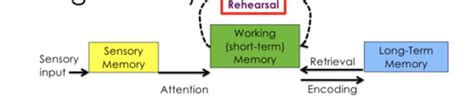 Ch Memory Flashcards Quizlet