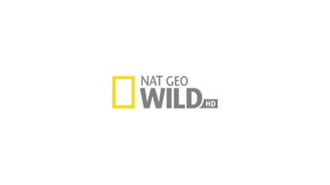 How To Watch NatGeo Wild Documentaries TV KDS Streaming Watch TV