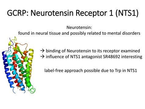 Ppt Binding Quantification With Thermophoresis Powerpoint