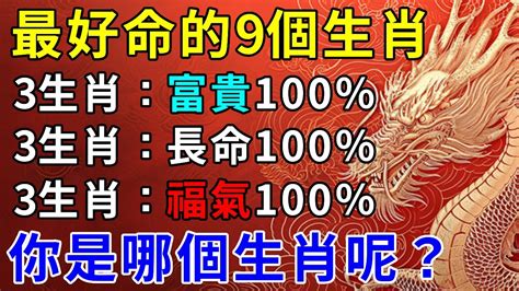 財運會爆發的不可收拾，天生最好命！這些生肖命好福氣大，一生富貴長壽下麵一起來看看吧，錢多的怎麼花都花不完，哪些生肖好命又壽長呢【運勢上上籤