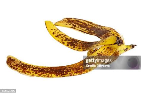 Rotten Banana Peel Photos and Premium High Res Pictures - Getty Images