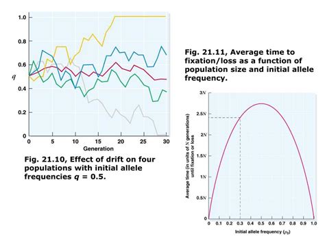 Ppt Chapter Population Genetics Part Forces That Change