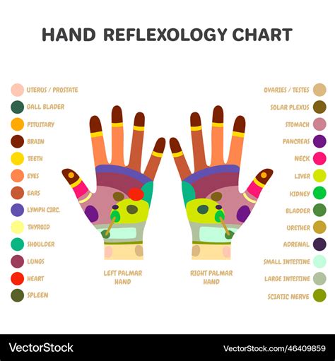 Traditional alternative heal reflexology hand Vector Image