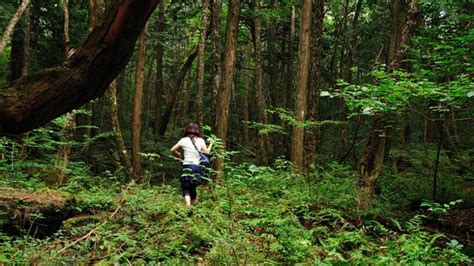 Aokigahara el bosque del suicidio de Japón que inspiró una película