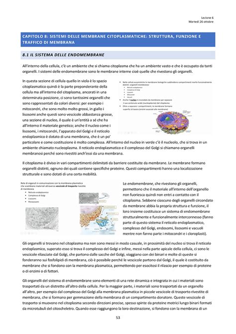 Sistemi Delle Endomembrane Rer E Rel Martedi