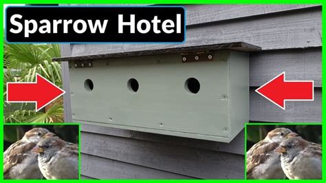 How to Make a Sparrow Colony Nesting Box / Bird House (Sparrow Terrace) - YouTube | Bird house ...