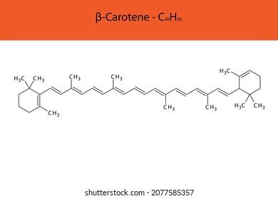 Beta Carotene Skeletal Structure Molecular Formula Stock Vector ...