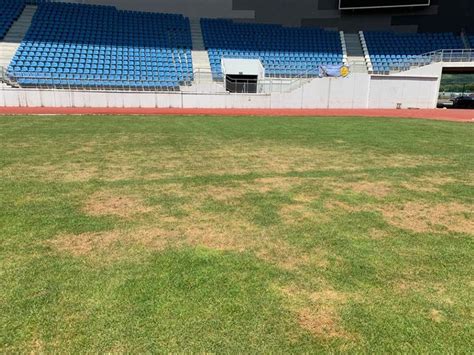 Se Reface Sau Nu Gazonul De Pe Stadionul Municipal La Peste De Grade