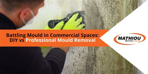 DIY vs Professional Mould Removal | Mathiou Services