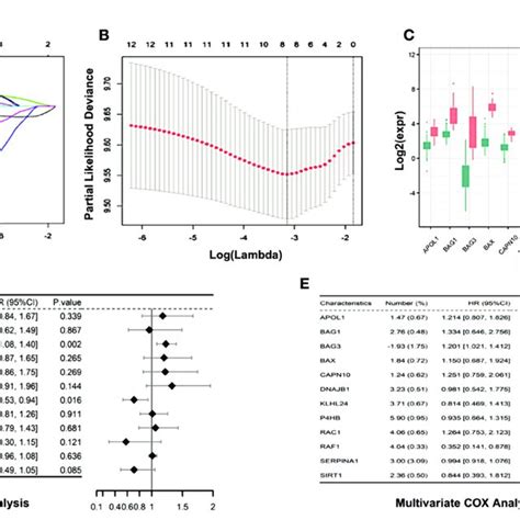 Construction Of Autophagy Associated Prognostic Model In Tcga Aml