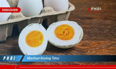 Temukan Manfaat Kuning Telur Yang Bikin Kamu Penasaran