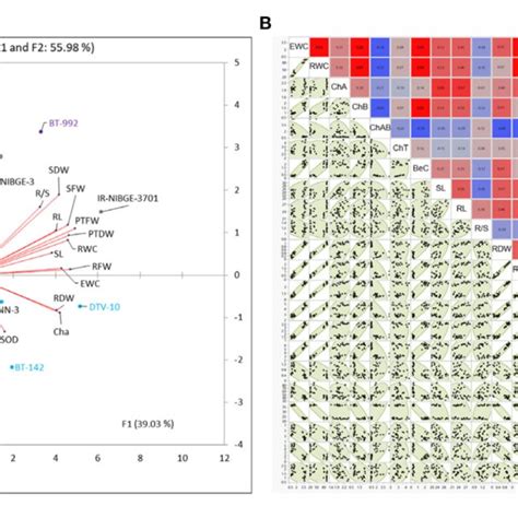 Biplot Principal Component Analysis A And Correlation Matrix Plot