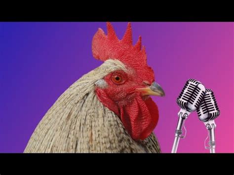 J Geco Chicken Song Chicken Dance Geco Remix 58 YouTube