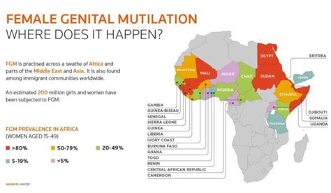 Sudan To Outlaw Female Genital Mutilation Spark Of Genius