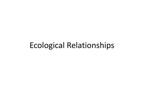 Ecological Relationships Worksheet — db-excel.com