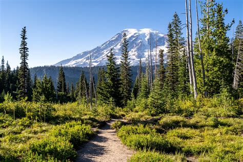 Where To Stay At Mount Rainier National Park Complete Guide