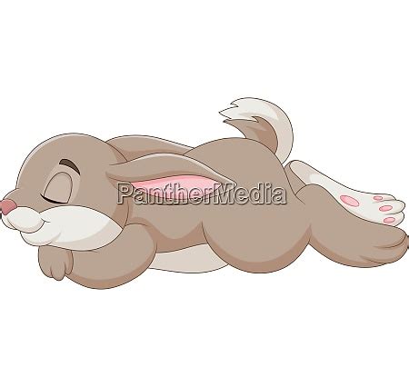 Illustration Of Rabbit Sleeping Isolated On White Royalty Free Image