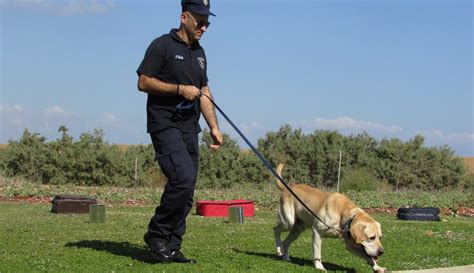 Adiestramiento perro policía Don Peludo