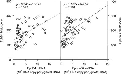 Correlation Of Ephb4 And Ephrinb2 Histoscores With Mrna Levels In Download Scientific Diagram