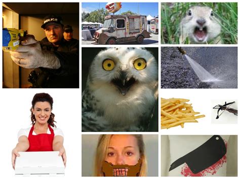 top  weird crime stories