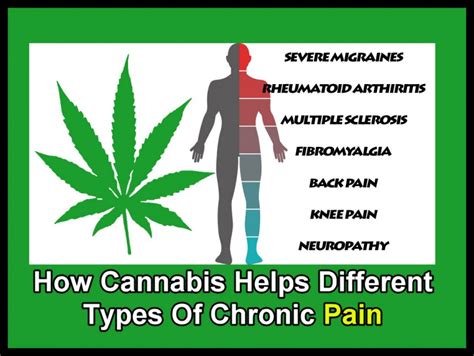 How Cannabis Helps Different Types Of Chronic Pain