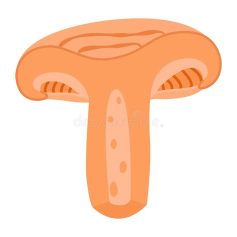 Saffron Milk Cap Sliced Mushrooms Delicious Milk Cap Stock Vector