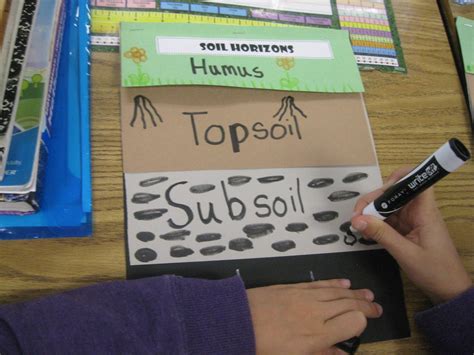 Third Grade Thinkers: Science: A Soil Study-Layers of Soil