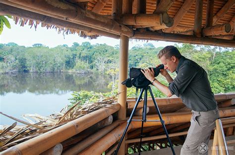 Ecuador amazon tour: The best wildlife spots & lodges