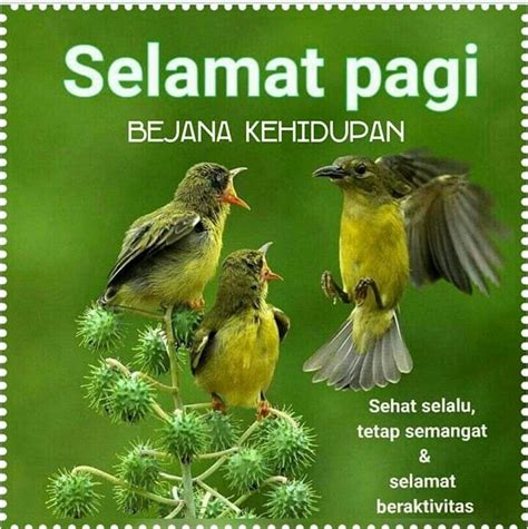 Pin Oleh Andreana Pasanea Di Day S Greetings Wishing Quotes Selamat