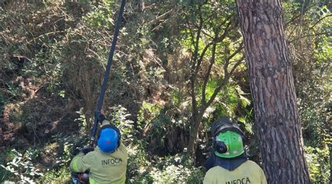 La Junta invierte 1 4 millones en montes públicos de la provincia para