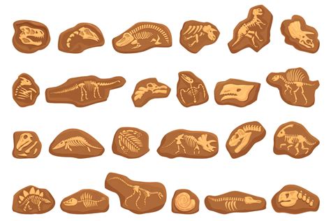 Dinosaur Fossil Icons Set Cartoon Graphic By Nsit0108 · Creative Fabrica