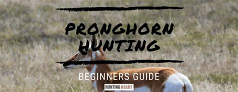 Pronghorn Hunting: Beginner's Guide - Hunting heart