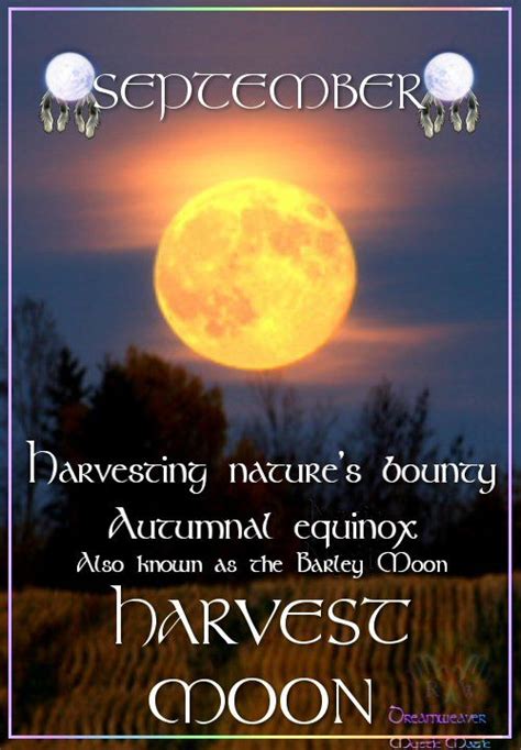 An Advertisement For Harvest Moon With The Words Harvesting Nature S