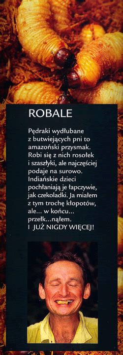 Iluzyt pl Recenzja książka Gringo wśród dzikich plemion