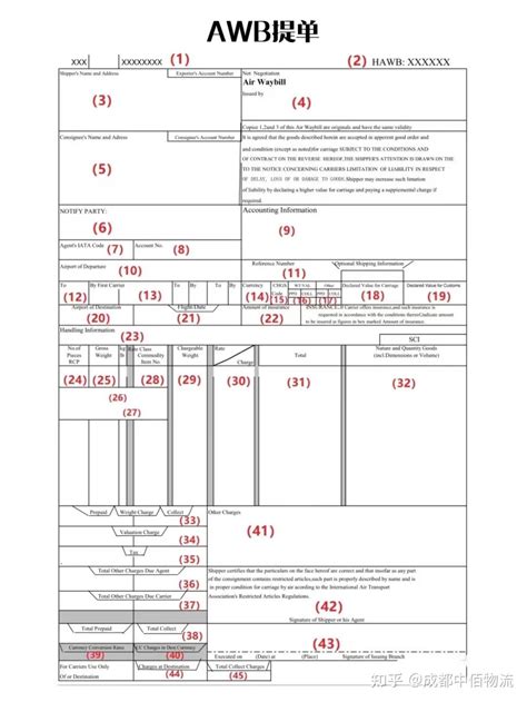 用一篇文章带你了解什么是空运提单 知乎