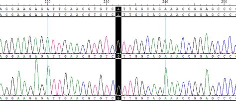 cypc reference standard