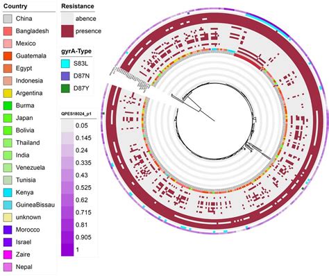 Amr Gene Groups Detected In Each Genome Sequence At More Than