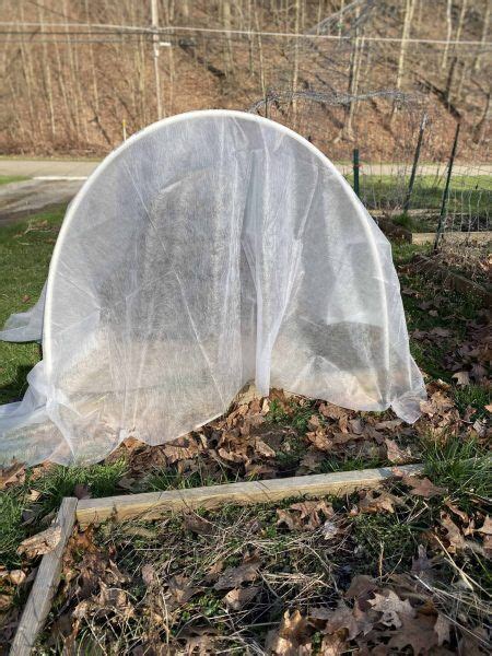 20 Simple DIY Mini Hoop House Homesteading Where You Are