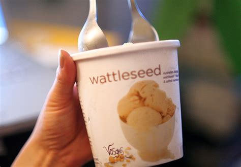 Wattleseed Ice Cream by Vosges - Julie's Kitchen