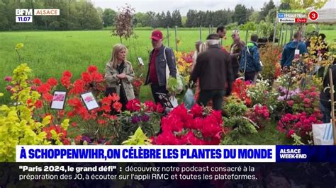 Parc de Schoppenwihr 40e édition de la fête internationale des plantes