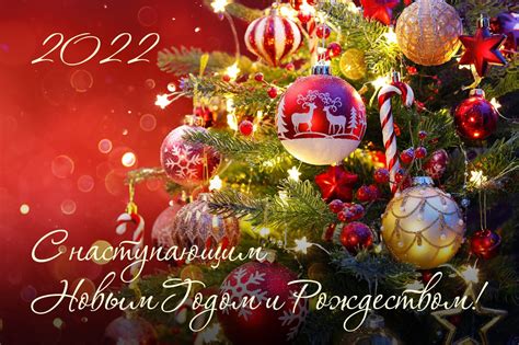 Невролог| Кунгур | Доктор Айболит | ВКонтакте