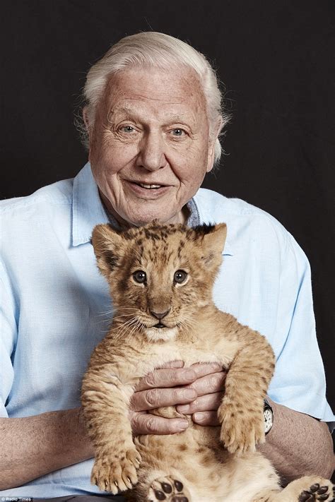 Sir David Attenborough S Making 185 Christmas TV Appearances More Than