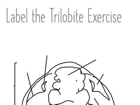 Label The Trilobite Diagram Teaching Resources