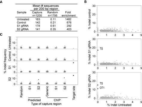 Sequence Capture Identifies Indels At The Target Sites And One